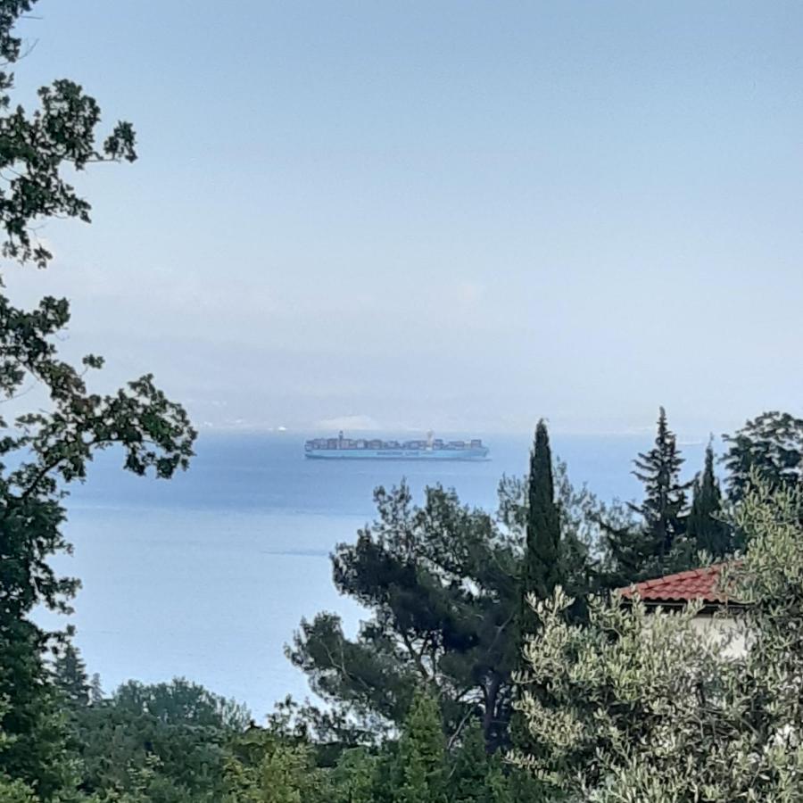Apartman Nevia Lka Opric Bagian luar foto